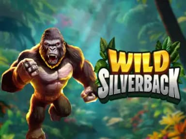 Wild Silverback